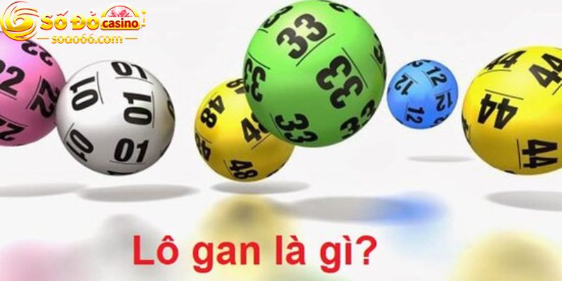 Khái niệm lô gan là gì?