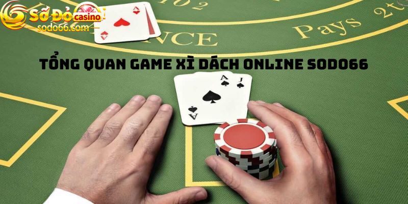 Tổng quan game Xì dách Online Sodo66