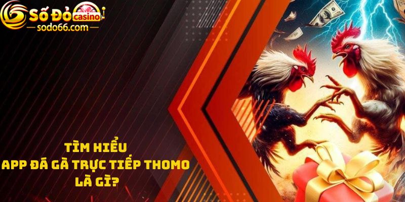 Tìm hiểu App đá gà trực tiếp thomo là gì?