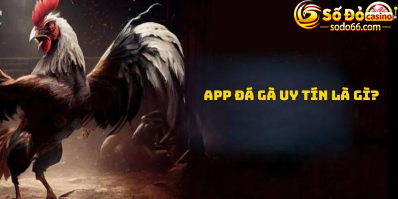 App đá gà uy tín là gì?