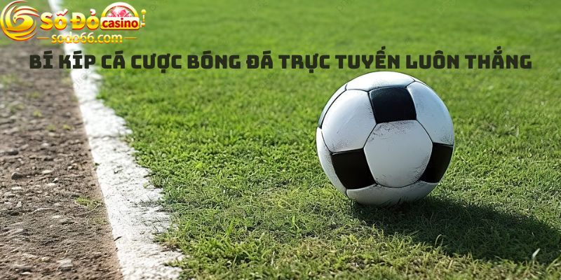 Bí kíp Cá cược bóng đá trực tuyến luôn thắng