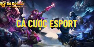 Cá cược Esports