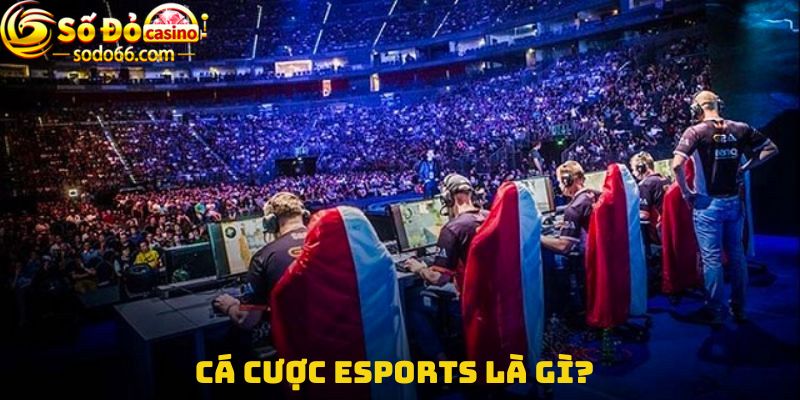 Cá cược esports là gì?