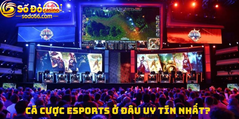 Cá cược esports ở đâu uy tín nhất?