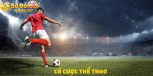 Cá cược thể thao