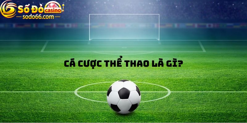 Cá cược thể thao là gì?