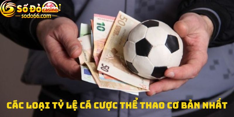 Các loại tỷ lệ cá cược thể thao cơ bản nhất