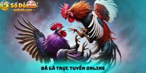 Đá gà trực tuyến online