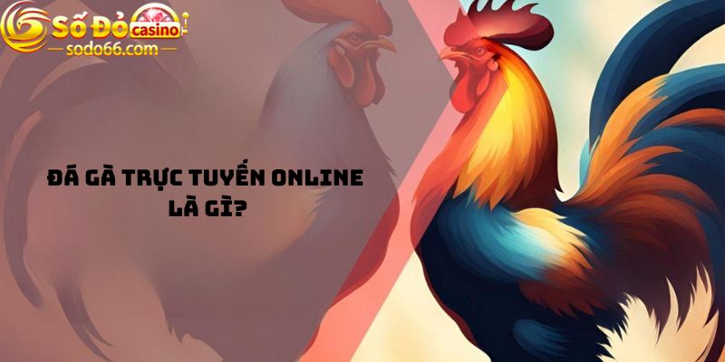 Đá gà trực tuyến online là gì?