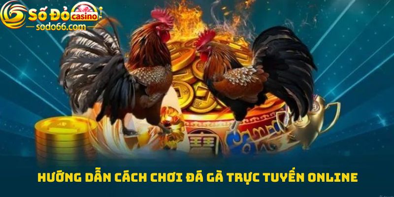 Hướng dẫn cách chơi Đá gà trực tuyến online 