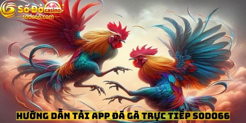 Hướng dẫn tải App đá gà trực tiếp Sodo66