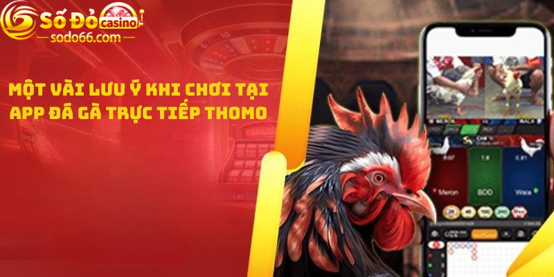 Một vài lưu ý khi chơi tại App đá gà trực tiếp thomo 