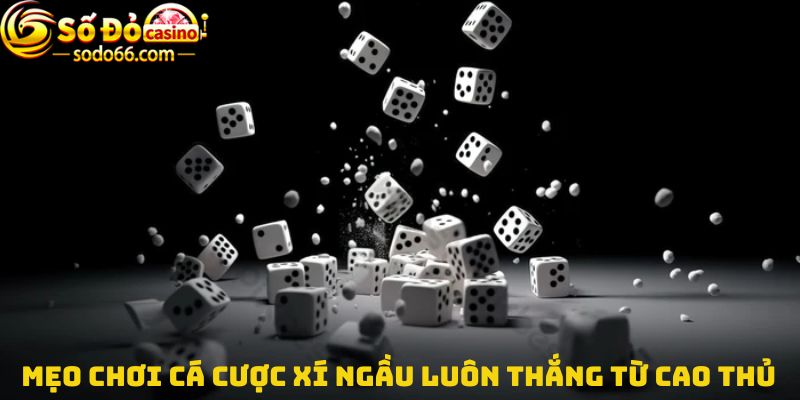 Mẹo chơi cá cược Xí ngầu luôn thắng từ cao thủ