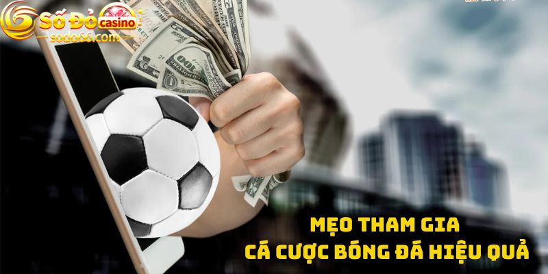 Mẹo tham gia Cá cược bóng đá hiệu quả