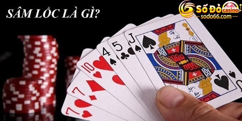 Sâm lốc là gì?