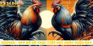 Sodo66 - App đá gà trực tiếp hot nhất hiện nay