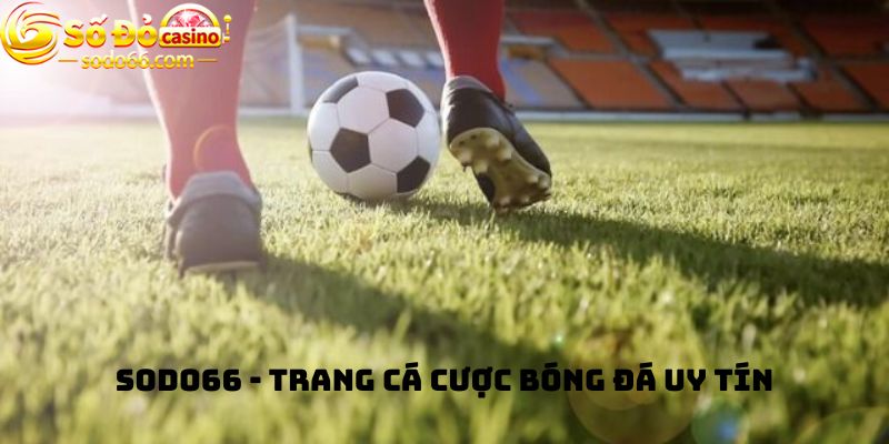 Sodo66 - Trang Cá cược bóng đá uy tín