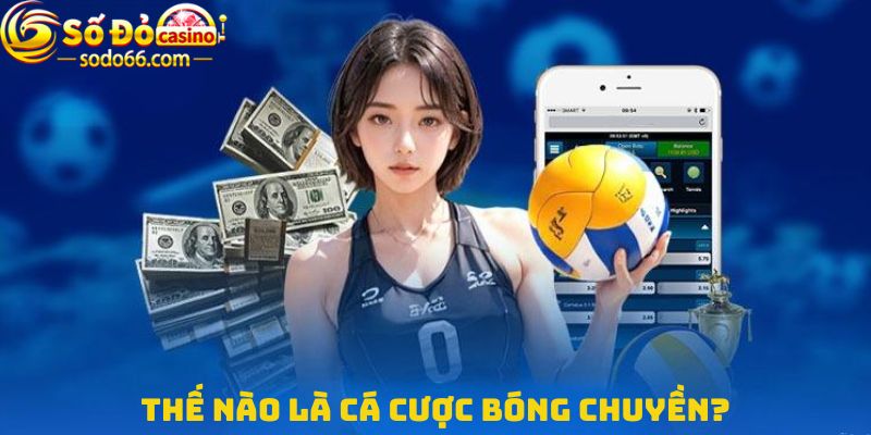 Thế nào là cá cược bóng chuyền?