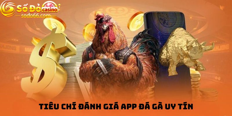 Tiêu chí đánh giá App đá gà uy tín