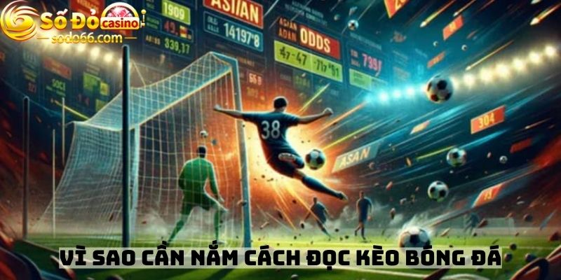 Vì sao cần nắm cách đọc kèo bóng đá