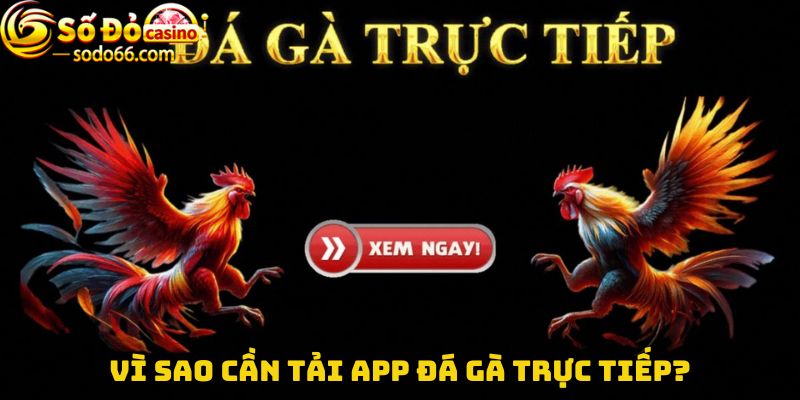 Vì sao cần tải App đá gà trực tiếp?