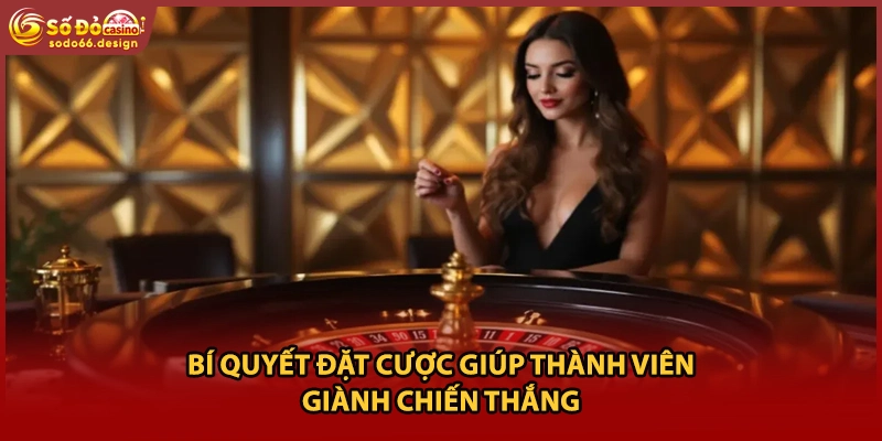 Bí quyết đặt cược giúp thành viên giành chiến thắng