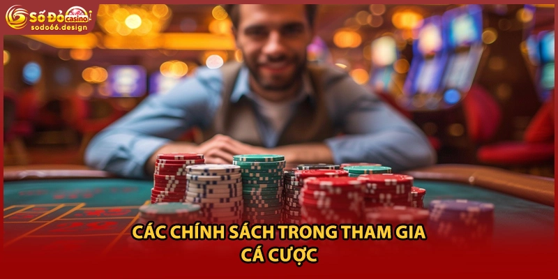 Các chính sách trong tham gia cá cược
