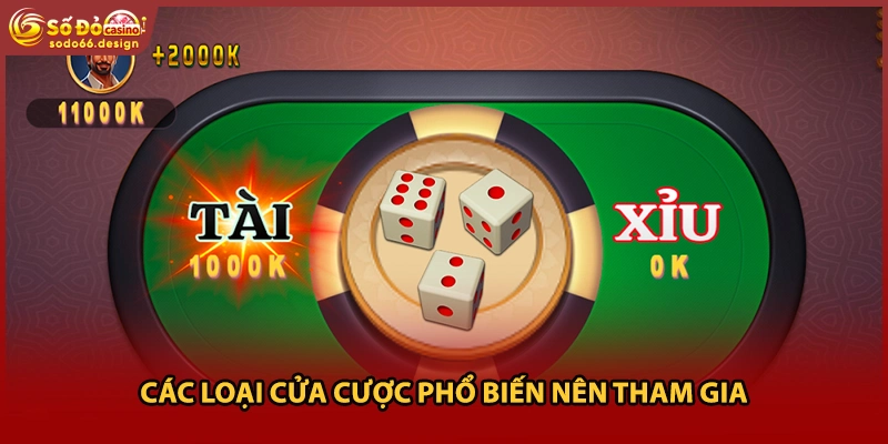 Các loại cửa cược phổ biến nên tham gia