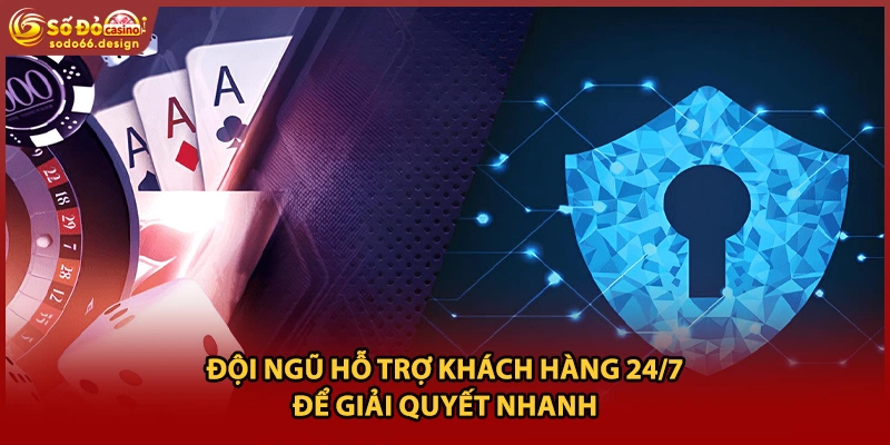 Đội ngũ hỗ trợ khách hàng 24/7 để giải quyết nhanh 